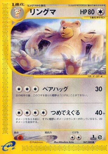 Ursaring 1st Edition