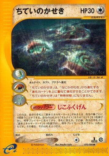Buried Fossil 1st Edition