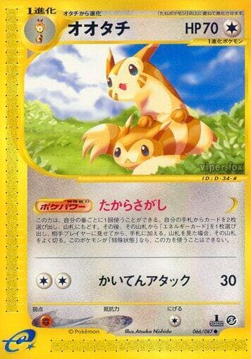 Furret 1st Edition
