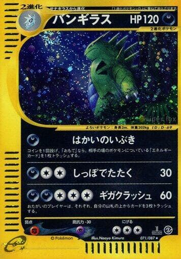 Tyranitar 1st Edition Holofoil