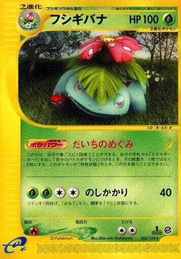 Venusaur 1st Edition
