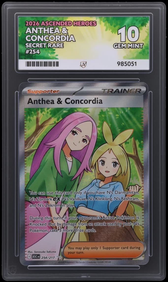 Anthea & Concordia