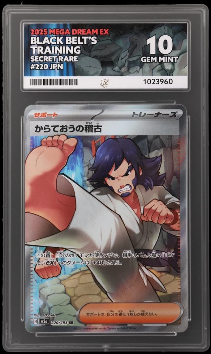Black Belt's Training — MEGA Dream ex #220
