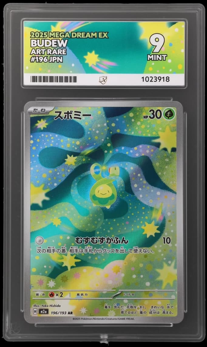 Budew — MEGA Dream ex #196