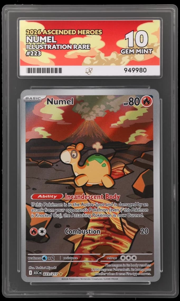 Numel, ACE 10 slab