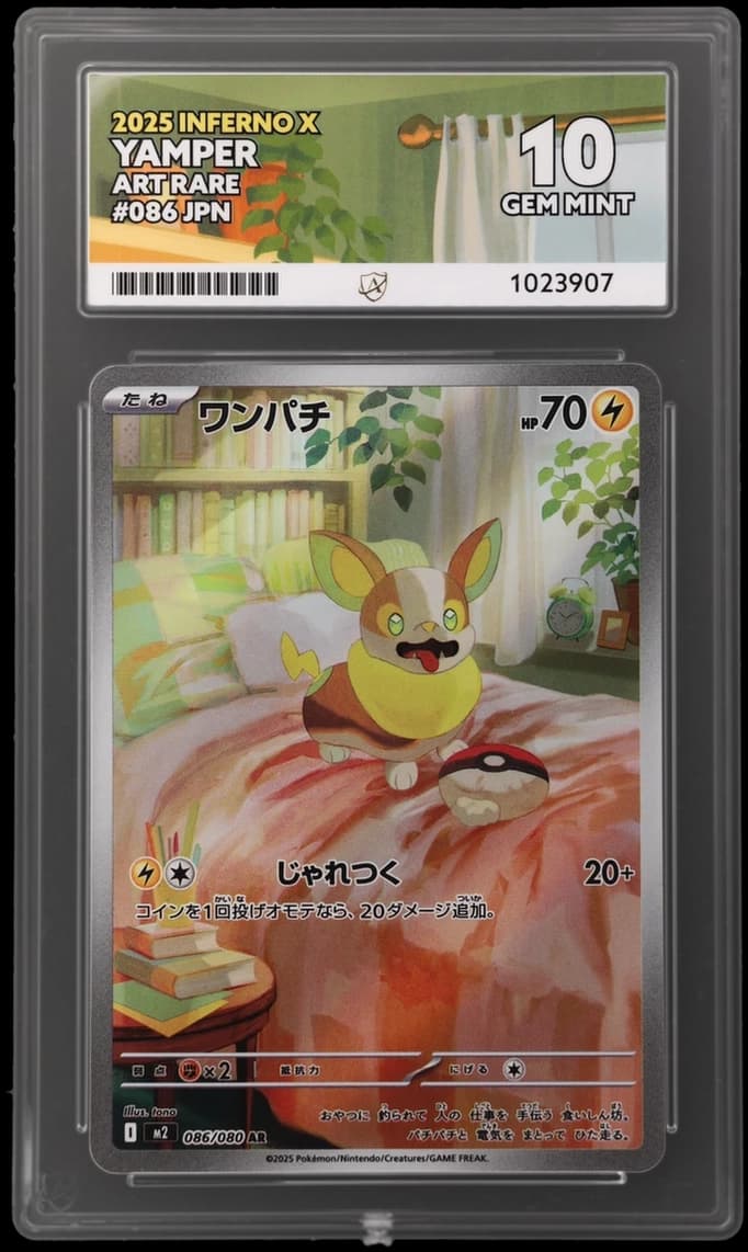Yamper — Inferno X #86