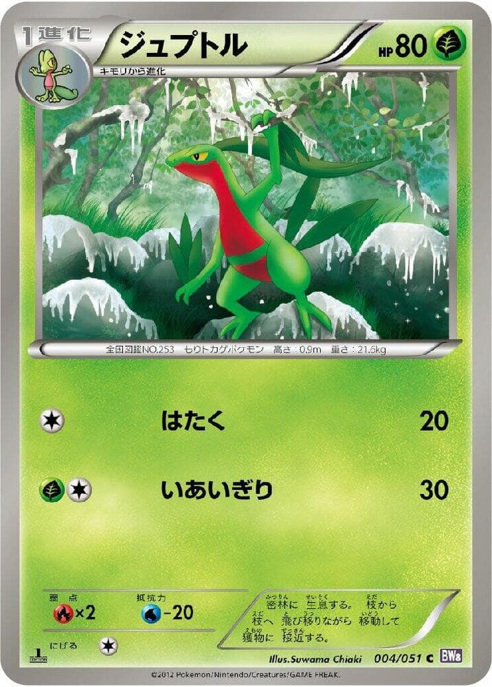 Grovyle Unlimited, catalogue front