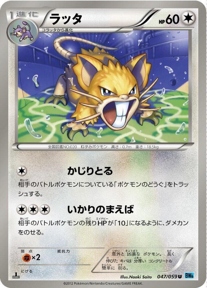 Raticate 1st Edition, catalogue front