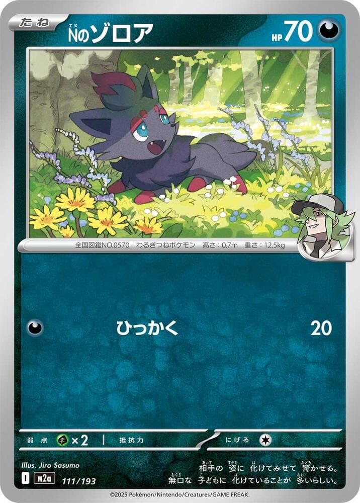 N's Zorua, catalogue front
