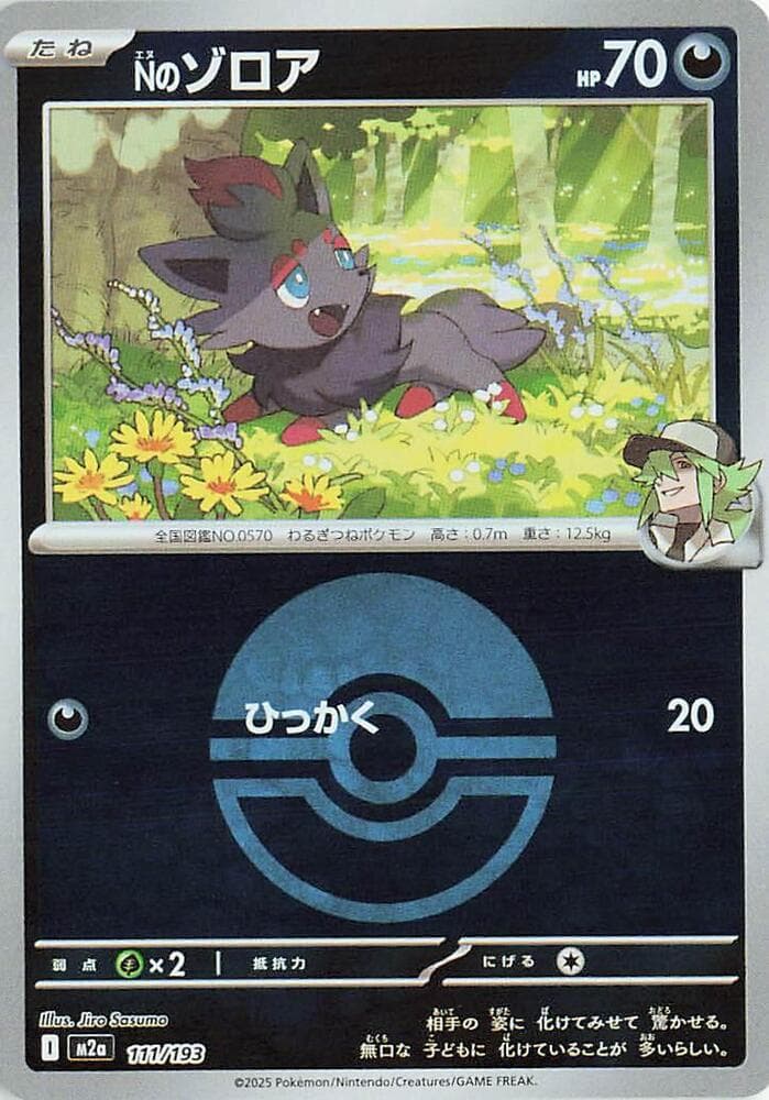 Ns Zorua Poke Ball Pattern Holofoil, catalogue front