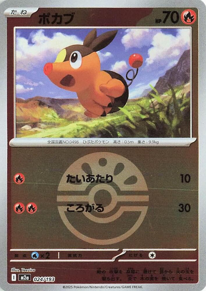 Tepig Friend Ball Pattern Holofoil, catalogue front