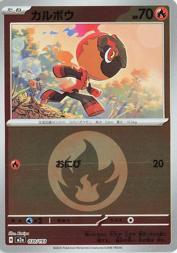 Charcadet Energy Symbol Pattern Holofoil, catalogue front