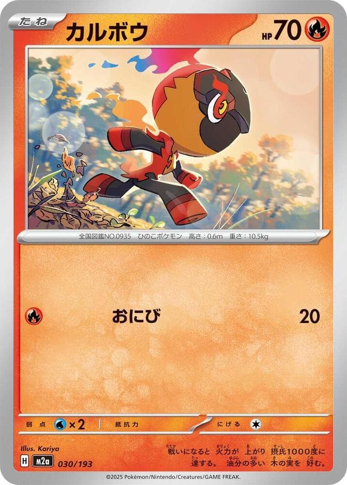 Charcadet Friend Ball Pattern Holofoil, catalogue front