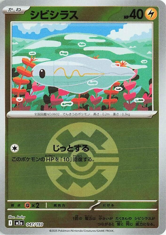 Tynamo Quick Ball Pattern Holofoil, catalogue front