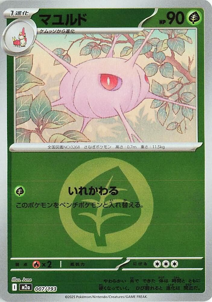 Cascoon Energy Symbol Pattern Holofoil, catalogue front