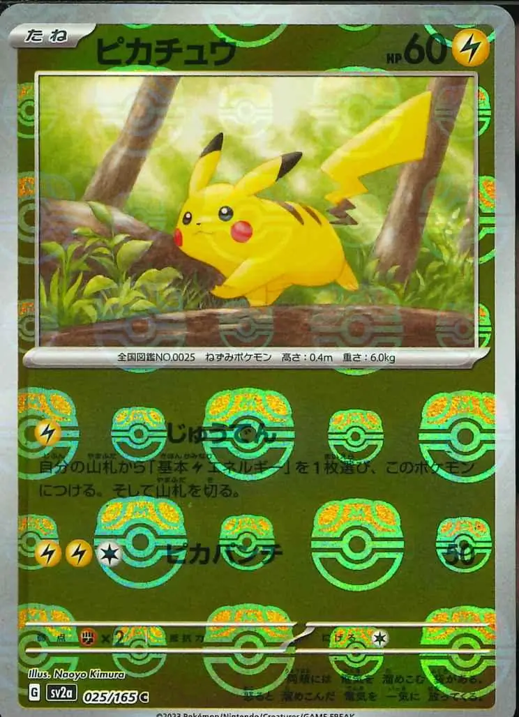 Pikachu Master Ball Holo, catalogue front