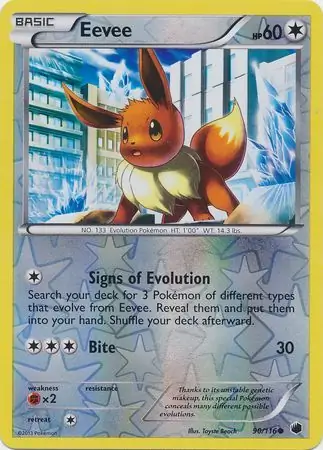 Eevee, catalogue front