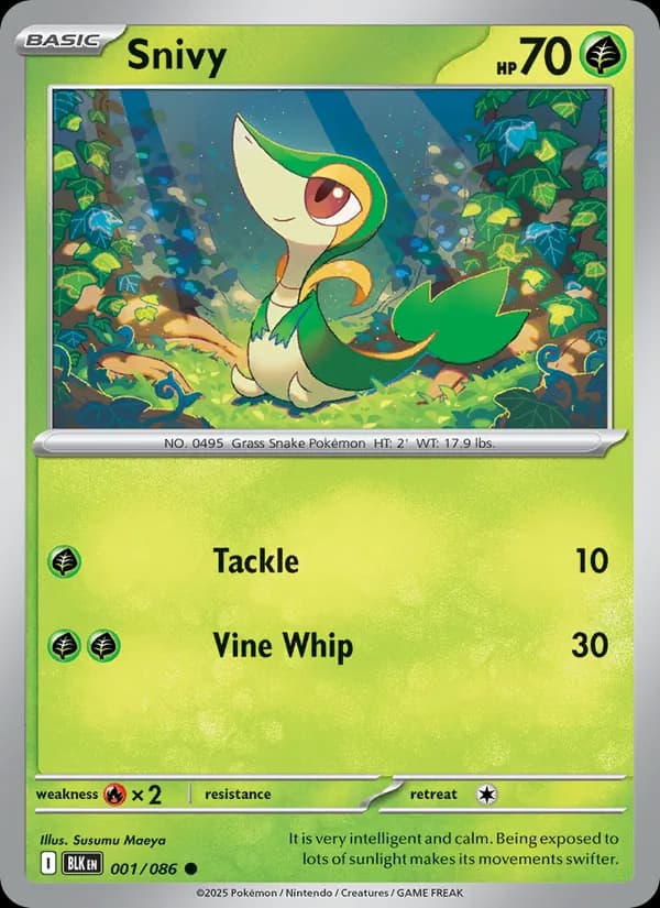 Snivy, catalogue front