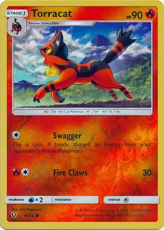 Torracat, catalogue front