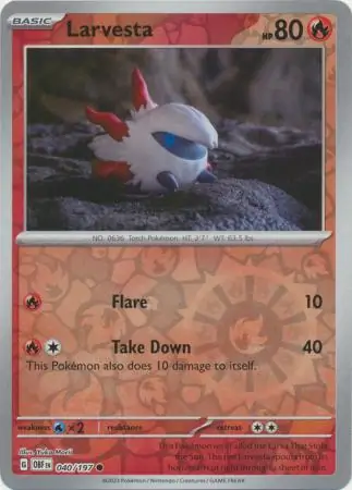 Larvesta, catalogue front