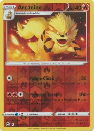 Arcanine, catalogue front