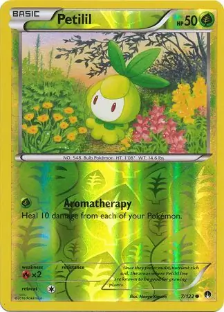 Petilil, catalogue front