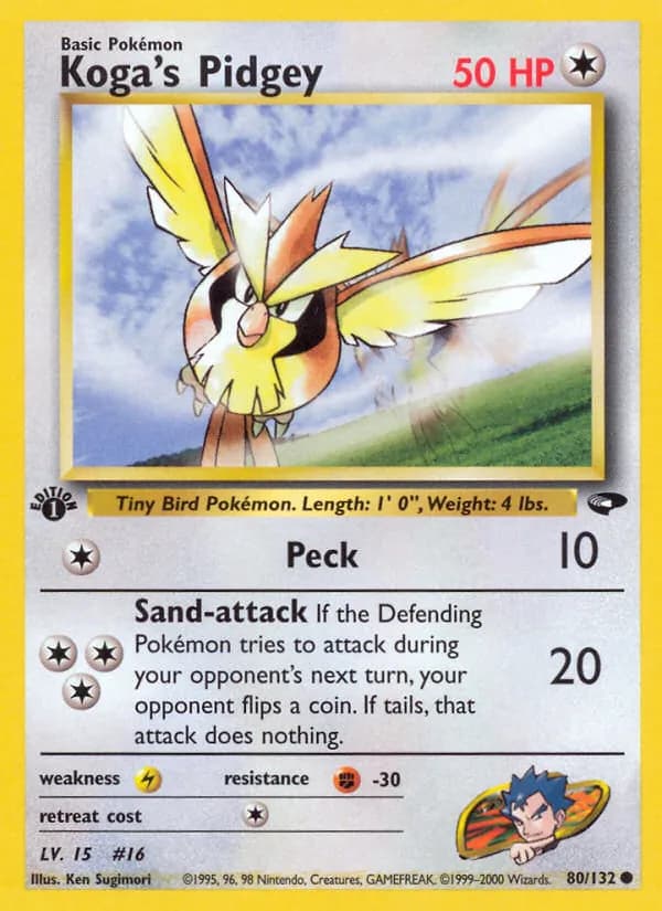 Koga's Pidgey, catalogue front