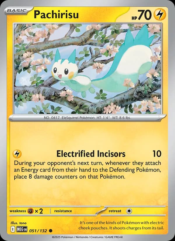Pachirisu, catalogue front