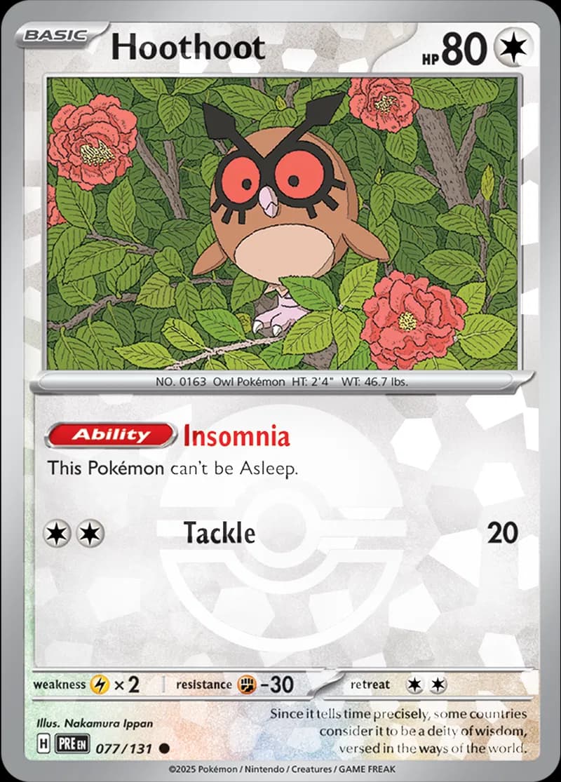 Hoothoot, catalogue front