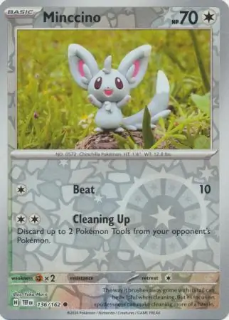 Minccino, catalogue front