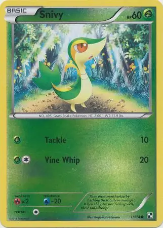 Snivy, catalogue front