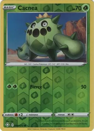 Cacnea, catalogue front