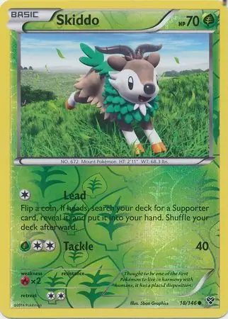 Skiddo, catalogue front