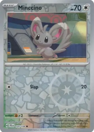 Minccino, catalogue front