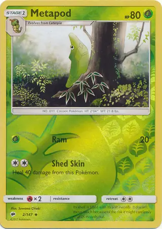 Metapod, catalogue front