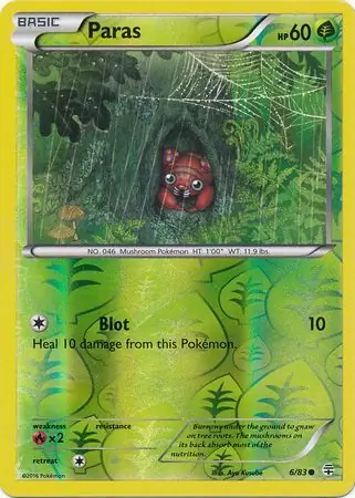 Paras, catalogue front