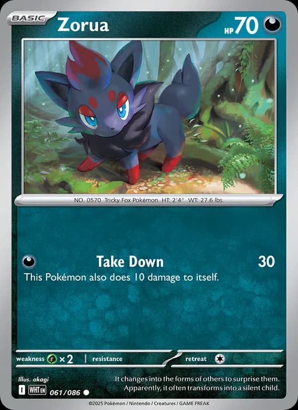 Zorua, catalogue front
