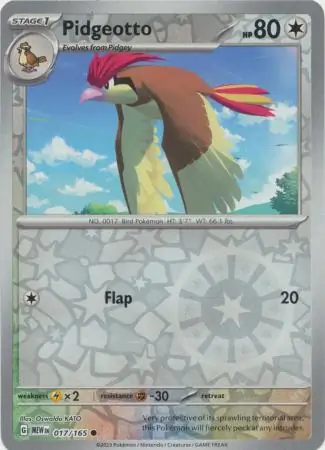 Pidgeotto, catalogue front