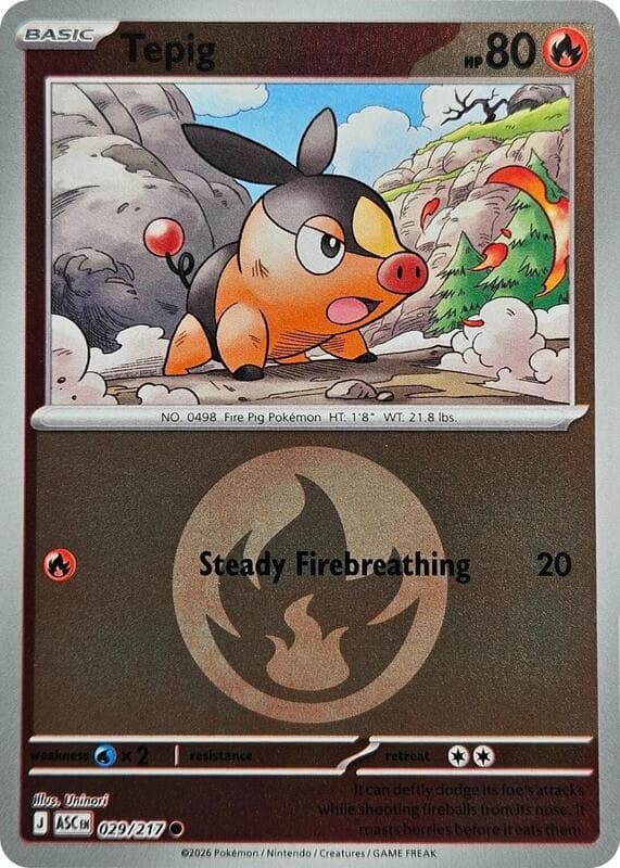 Tepig, catalogue front