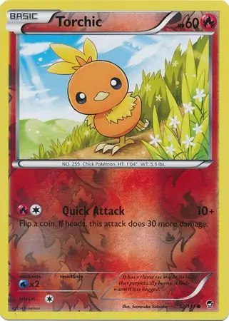 Torchic, catalogue front
