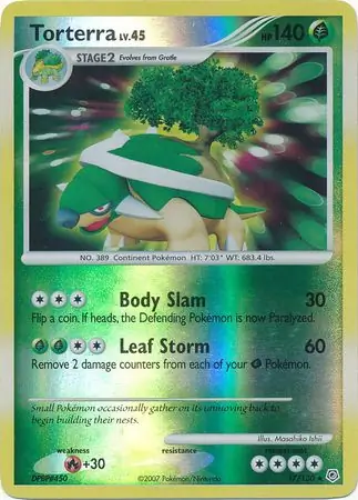 Torterra, catalogue front