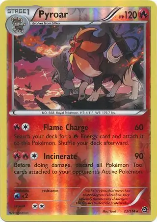 Pyroar, catalogue front
