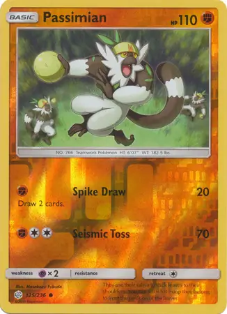 Passimian, catalogue front