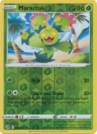 Maractus, catalogue front