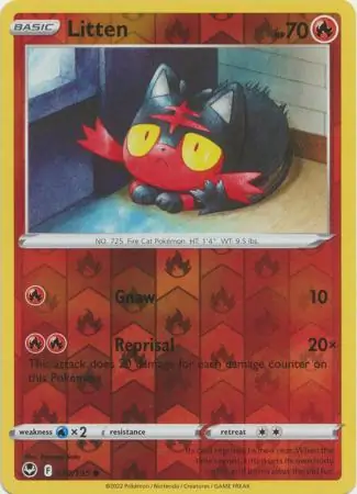 Litten, catalogue front