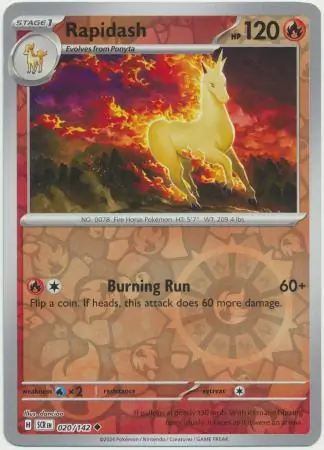 Rapidash, catalogue front