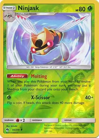 Ninjask, catalogue front