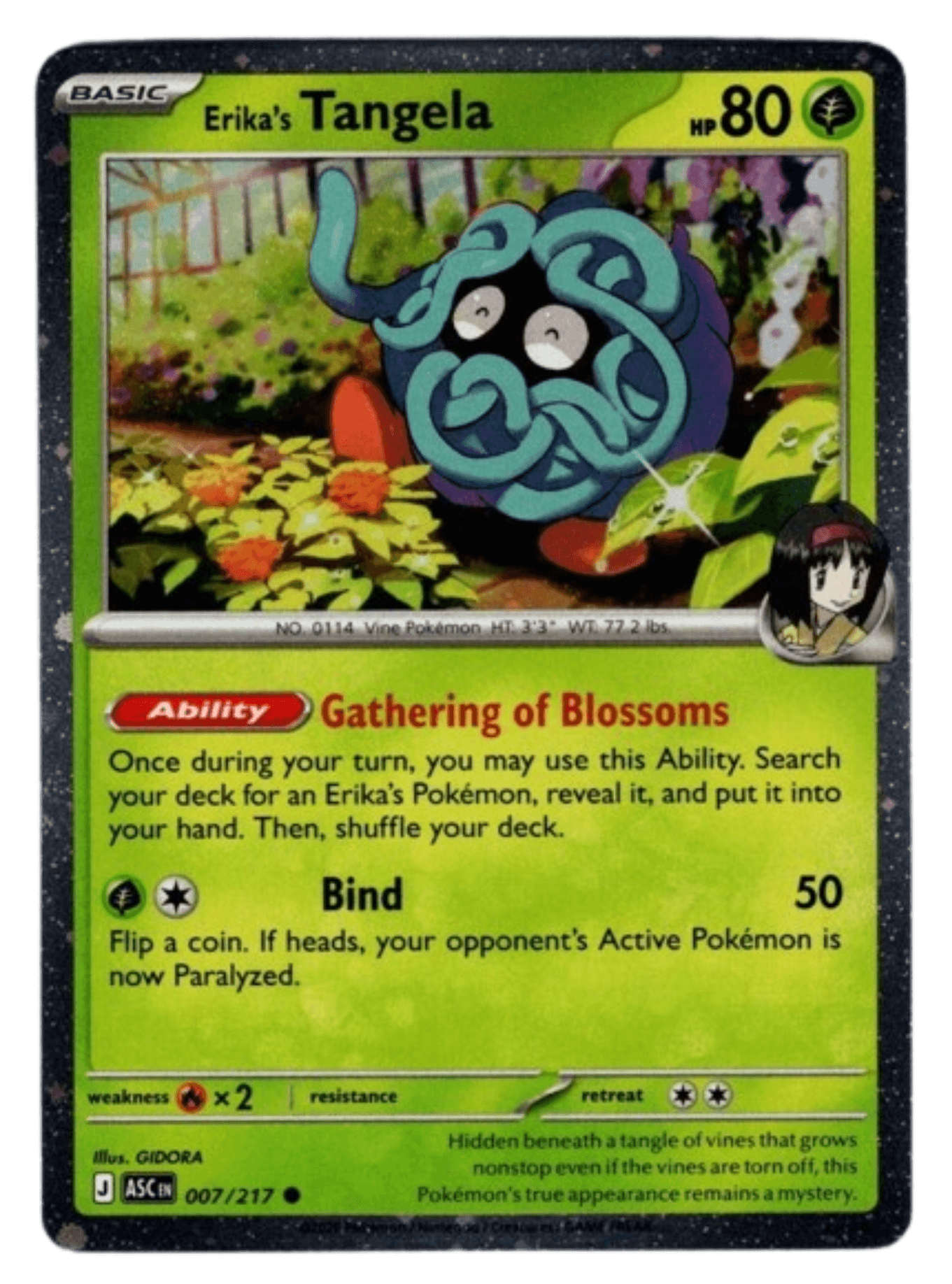 Erika's Tangela, catalogue front