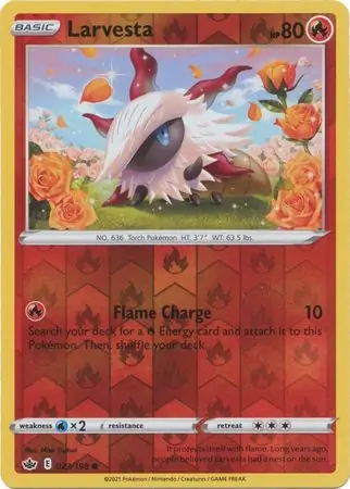 Larvesta, catalogue front