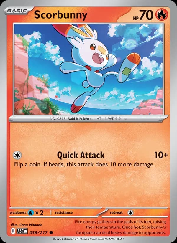 Scorbunny, catalogue front